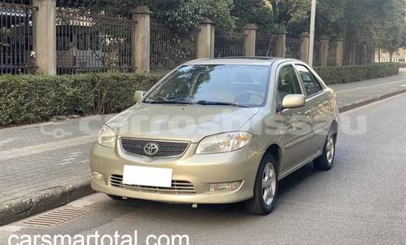 Buy Used Toyota Vios Silver Car in Bafata in Bafata Buy Used Toyota Vios Silver Car in Bafata in Bafata