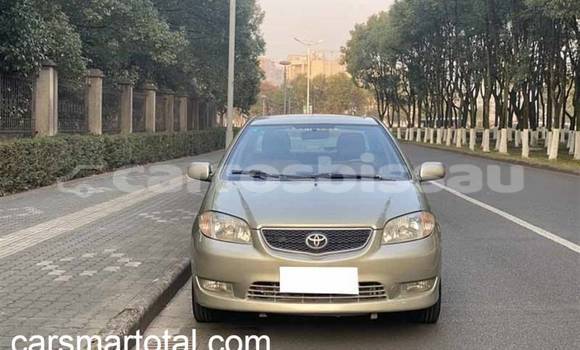 Buy Used Toyota Vios Silver Car in Bafata in Bafata Buy Used Toyota Vios Silver Car in Bafata in Bafata