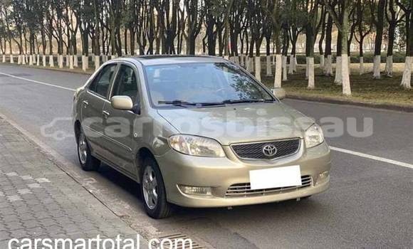 Buy Used Toyota Vios Silver Car in Bafata in Bafata Buy Used Toyota Vios Silver Car in Bafata in Bafata