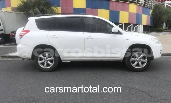 Buy Used Toyota RAV4 White Car in Catio in Tombali Buy Used Toyota RAV4 White Car in Catio in Tombali