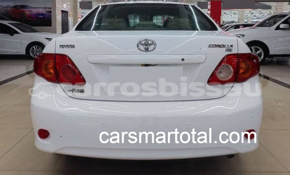 Buy Used Toyota Corolla White Car in Farim in Oio Buy Used Toyota Corolla White Car in Farim in Oio