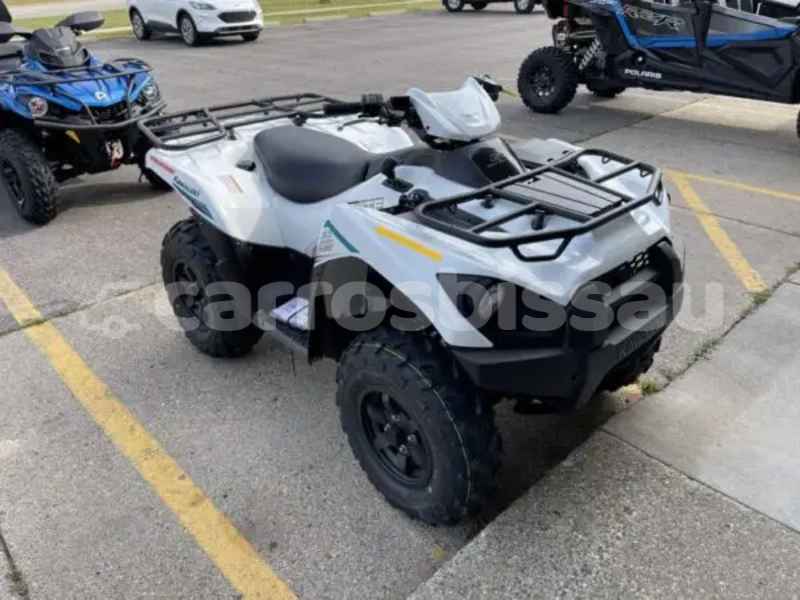 Big with watermark kawasaki brute force quinara buba 101