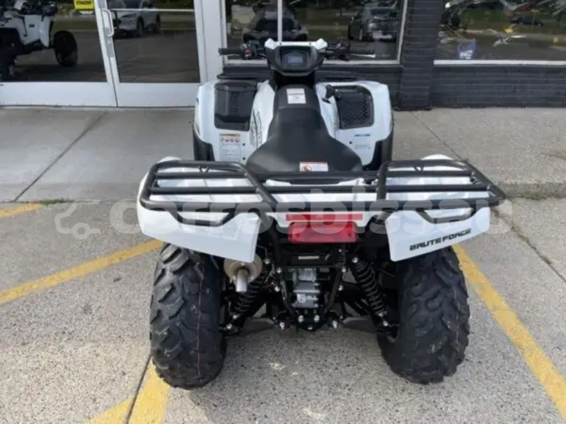 Big with watermark kawasaki brute force quinara buba 101