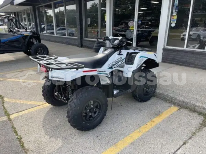 Big with watermark kawasaki brute force quinara buba 101