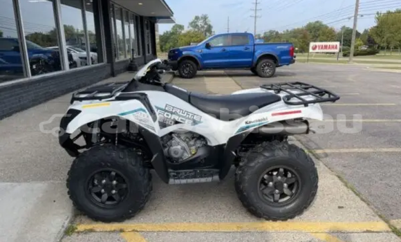 Comprar Novo Kawasaki Brute Force White Moto em Buba em Quinara Comprar Novo Kawasaki Brute Force White Moto em Buba em Quinara
