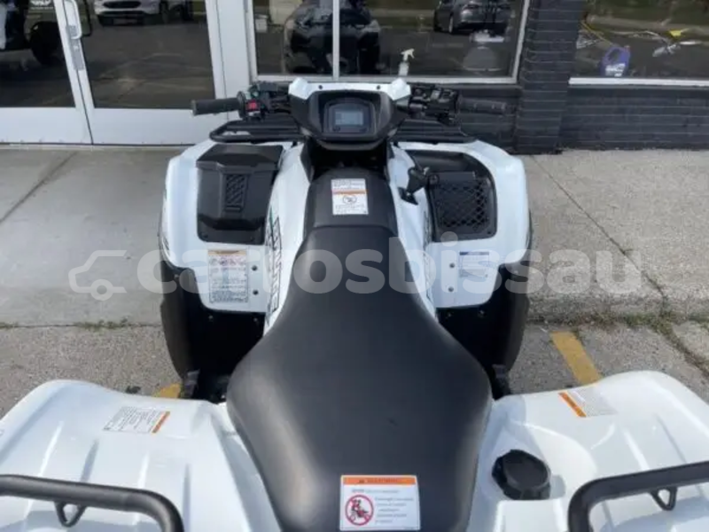 Big with watermark kawasaki brute force quinara buba 101