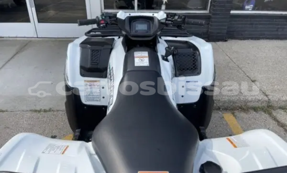Comprar Novo Kawasaki Brute Force White Moto em Buba em Quinara Comprar Novo Kawasaki Brute Force White Moto em Buba em Quinara